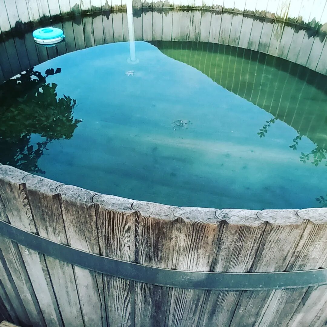 Гостиница Вербена Горячий Ключ