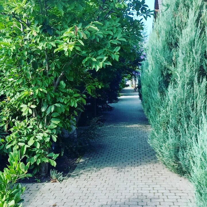 Гостиница Вербена Горячий Ключ