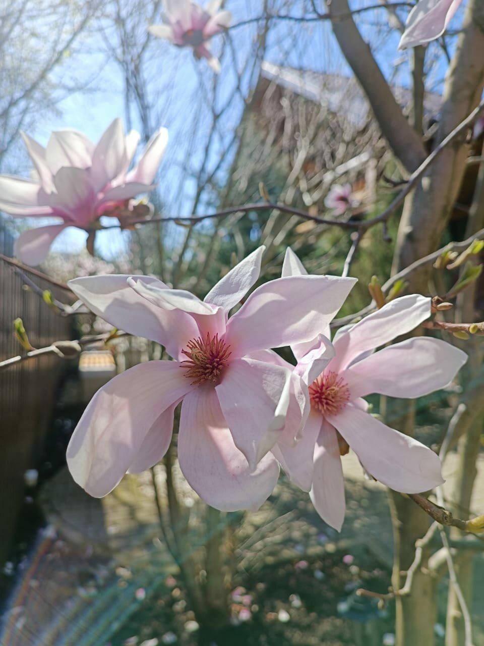 Гостиница Вербена Горячий Ключ