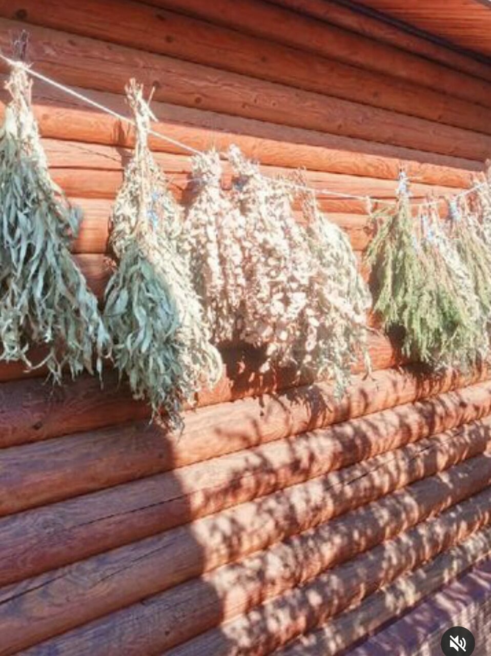 Гостиница Вербена Горячий Ключ-12