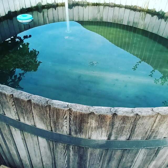 Гостиница Вербена Горячий Ключ-29