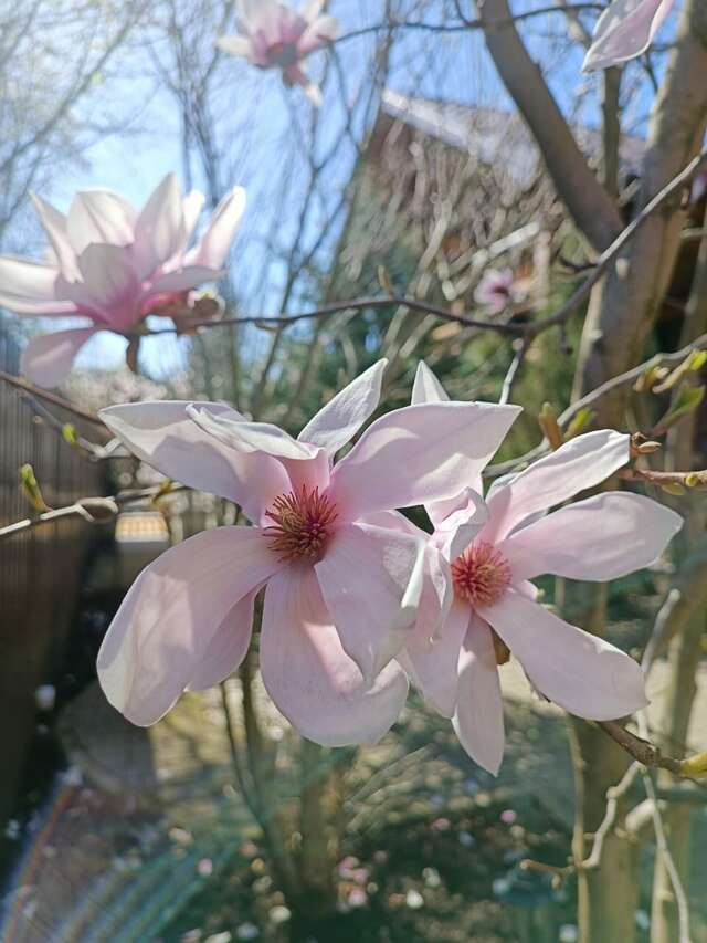 Гостиница Вербена Горячий Ключ-37