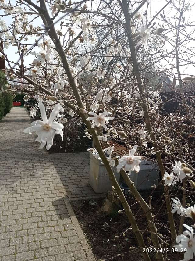 Гостиница Вербена Горячий Ключ-32